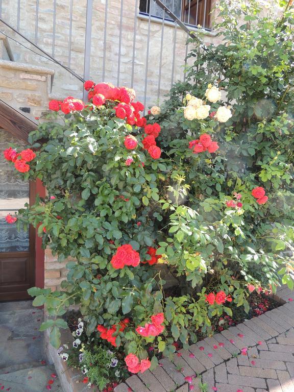 Da Fabiana Bed & Breakfast Bossolasco Exterior photo